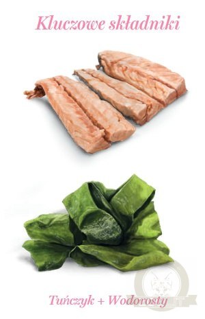 Amanova Cat Tuna & Seaweed - tuńczyk i wodorosty w galaretce puszka 70g [13]