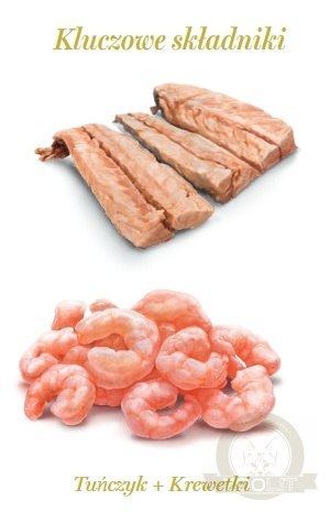 Amanova Cat Tuna & Shrimps - tuńczyk i krewetki w bulionie puszka 70g [12]