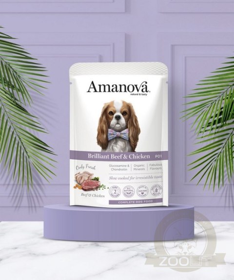 Amanova Dog Adult Brilliant Beef & Chicken - wołowina i kurczak saszetka 100g [P01]