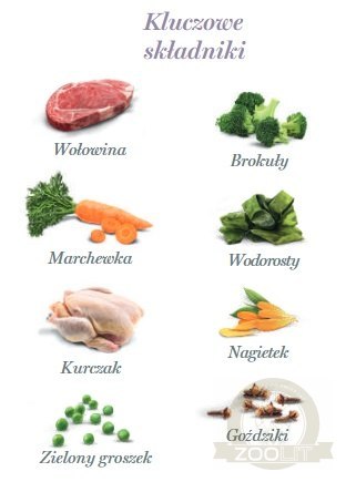 Amanova Dog Adult Brilliant Beef & Chicken - wołowina i kurczak saszetka 100g [P01]