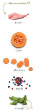 Amanova Dog Adult Digestive Divine Rabbit - królik 2kg