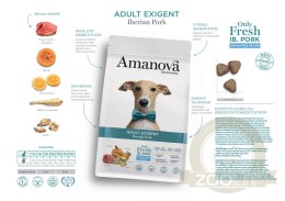 Amanova Dog Adult Exigent Iberian Pork - wieprzowina 2kg
