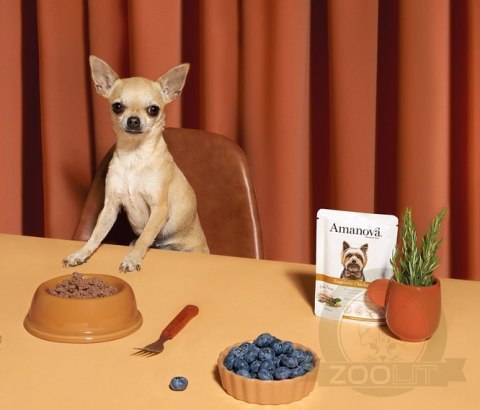 Amanova Dog Adult Exquisite Chicken - kurczak saszetka 100g [P03]