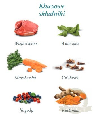 Amanova Dog Adult Iberian Pork - wieprzowina saszetka 300g [P04]