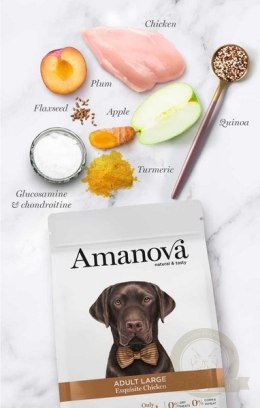 Amanova Dog Adult Large Exquisite Chicken - kurczak 12kg