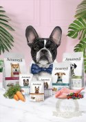 Amanova Dog Adult Mini Digestive Divine Rabbit - królik 2kg