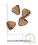 Amanova Dog Adult Mini Digestive Divine Rabbit - królik 800g