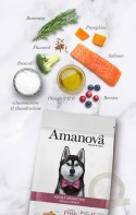 Amanova Dog Adult Sensitive Salmon Deluxe - łosoś 2kg