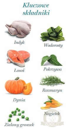 Amanova Dog Adult Tasty Salmon & Turkey - łosoś i indyk saszetka 300g [P06]