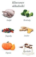 Amanova Dog Adult Turkey Delight - indyk saszetka 100g [P07]