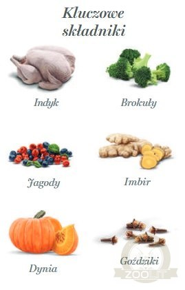 Amanova Dog Adult Turkey Delight - indyk saszetka 100g [P07]