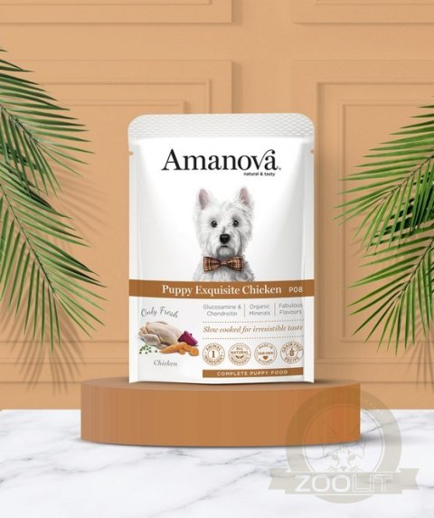 Amanova Dog Puppy Exquisite Chicken - kurczak saszetka 100g [P08]