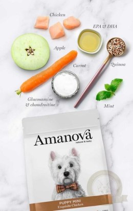 Amanova Dog Puppy Mini Exquisite Chicken - kurczak 2kg