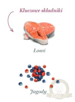 Amanova Dog Salmon Bites - łosoś 100g
