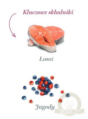 Amanova Dog Salmon Bites - łosoś 100g Amanova Dog Salmon Bites - łosoś 100g