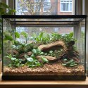 Aventerra Sweden DRAGOON Alder Large 4l - duże zrębki olchowe