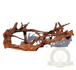 Malaysian Driftwood Giant XXXL - korzeń 150cm no.M34