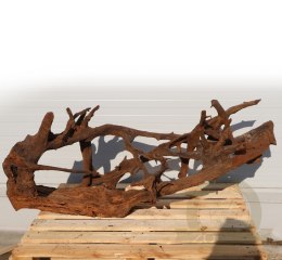 Malaysian Driftwood Giant XXXL - korzeń 150cm no.M34