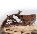 Malaysian Driftwood Giant XXXL - korzeń 150cm no.M34