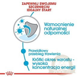 Royal Canin Medium Puppy karma sucha dla szczeniąt, od 2 do 12 miesiąca, ras średnich 3kg