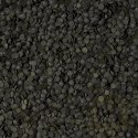 Tropical Super Spirulina Forte Chips 100ml