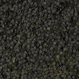 Tropical Super Spirulina Forte Chips 100ml