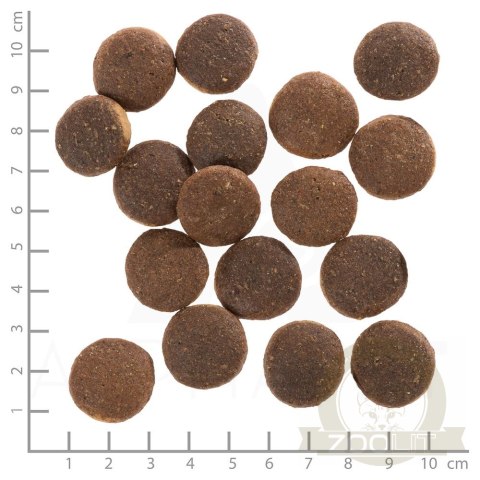 Wolfsblut Dog Red Rock - kangur i bataty 12,5kg Wolfsblut Dog Red Rock - kangur i bataty 12,5kg