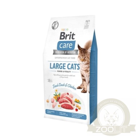 Brit Care Grain-Free Large Cats Power & Vitality Z Kaczką I Kurczakiem 2kg Brit Care Grain-Free Large Cats Power & Vitality Z Kaczką I Kurczakiem 2kg