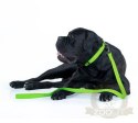 Collar Waterproof Smycz wodoodporna L-XXL 25mm/183cm jasnozielona