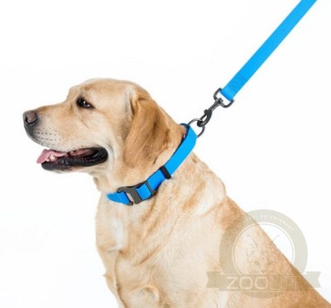 Collar Waterproof Smycz wodoodporna L-XXL 25mm/183cm niebieska Collar Waterproof Smycz wodoodporna L-XXL 25mm/183cm niebieska