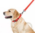 Collar Waterproof Smycz wodoodporna M 20mm/183cm czerwona