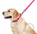 Collar Waterproof Smycz wodoodporna S 15mm/183cm różowa
