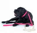 Collar Waterproof Smycz wodoodporna S 15mm/183cm różowa