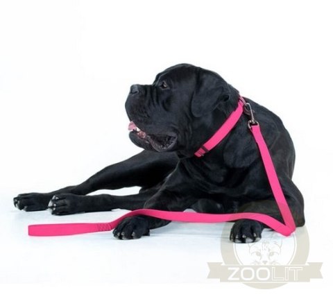 Collar Waterproof Smycz wodoodporna S 15mm/183cm różowa Collar Waterproof Smycz wodoodporna S 15mm/183cm różowa
