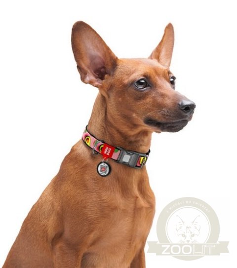 Collar WauDog Nylon Obroża nylonowa z QR-paszportem, plastikowy fastex, wzór AWOKADO NA RÓŻU, M 20mm/28-40cm Collar WauDog Nylon Obroża nylonowa z QR-paszportem, plastikowy fastex, wzór AWOKADO NA RÓŻU, M 20mm/28-40cm