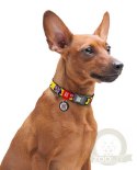 Collar WauDog Nylon Obroża nylonowa z QR-paszportem, plastikowy fastex, wzór FUTRZANE POTWORY, M 20mm/28-40cm
