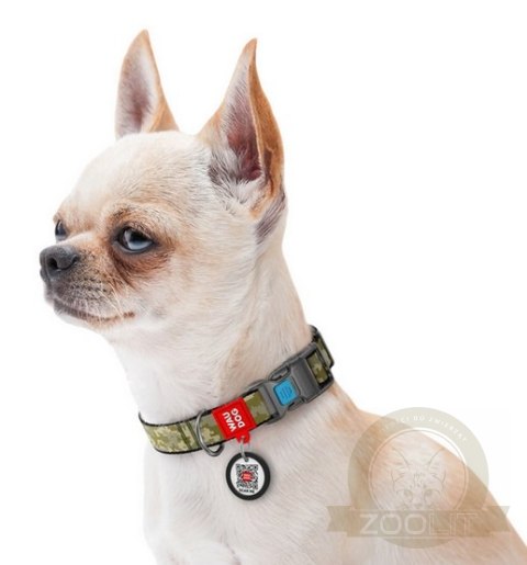 Collar WauDog Nylon Obroża nylonowa z QR-paszportem, plastikowy fastex, wzór MILITARY, L 25mm/33-49cm Collar WauDog Nylon Obroża nylonowa z QR-paszportem, plastikowy fastex, wzór MILITARY, L 25mm/33-49cm