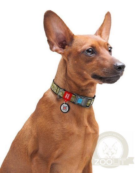 Collar WauDog Nylon Obroża nylonowa z QR-paszportem, plastikowy fastex, wzór MILITARY, L 25mm/33-49cm Collar WauDog Nylon Obroża nylonowa z QR-paszportem, plastikowy fastex, wzór MILITARY, L 25mm/33-49cm