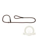 Dingo Smycz Pojedyncza Dla Psa Z Linki Snake Brązowa 180cm