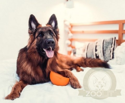 LickiMat Wobble Miska głęboka Jeżyk miękka pomarańczowa LickiMat Wobble Miska głęboka Jeżyk miękka pomarańczowa