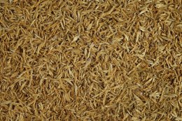 Tetra Anchovies 1l