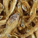 Tetra Anchovies 1l