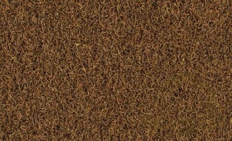 Tetra Delica Bloodworms 100ml Tetra Delica Bloodworms 100ml