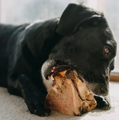 4DOGS Gryzak z korzenia drzewa wrzosowego XL 4DOGS Gryzak z korzenia drzewa wrzosowego XL