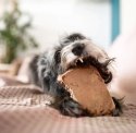 4DOGS Gryzak z korzenia drzewa wrzosowego XL