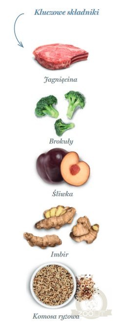 Amanova Cat Sterilised Delicious Lamb - jagnięcina 4kg