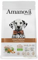 Amanova Dog Puppy Medium Exquisite Chicken - kurczak 2kg