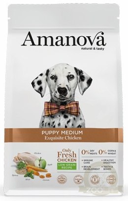 Amanova Dog Puppy Medium Exquisite Chicken - kurczak 2kg