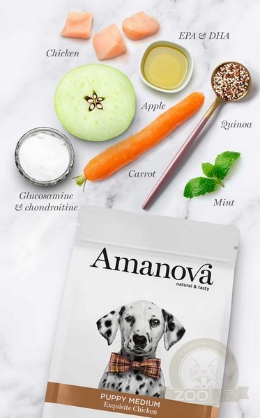 Amanova Dog Puppy Medium Exquisite Chicken - kurczak 2kg Amanova Dog Puppy Medium Exquisite Chicken - kurczak 2kg