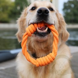 Dingo Zabawka dla psa - Ringo zaplatane Energy 18cm pomarańczowe